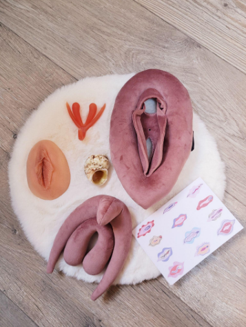 Ein Foto des in den Workshops verwendeten Anschauungsmaterials, u. a. Vulven und Klitoris aus Stoff.